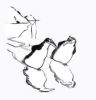 image Framasoft